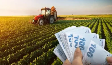 Çiftçiye Yeni Destek Düzenlemesi: Tarımsal Üretimde Ödemeler Artırıldı